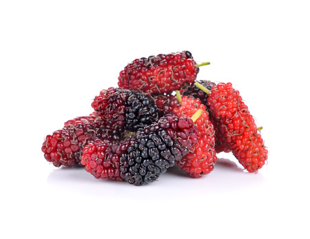 mulberries isolated on white backgroundの写真素材
