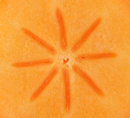 Persimmon slice - textureの写真素材