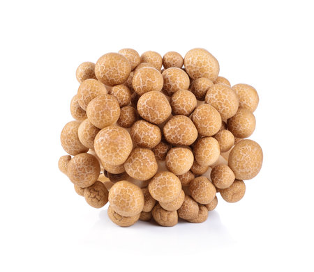 brown beech mushrooms isolated on white background