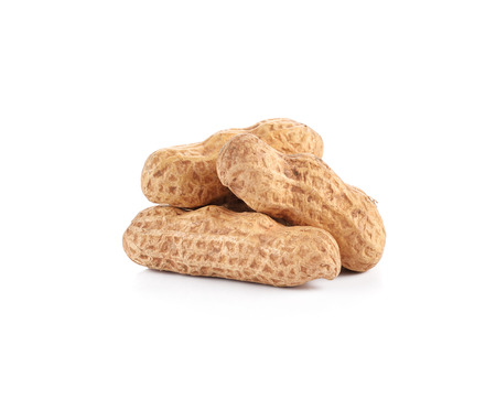 Peanuts on white backgroundの写真素材