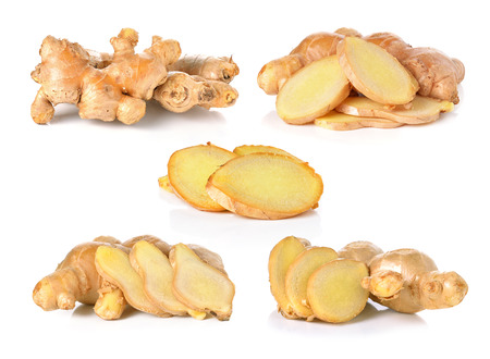 ginger on white backgroundの写真素材