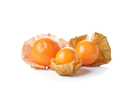 Physalis fruit on a white backgroundの写真素材