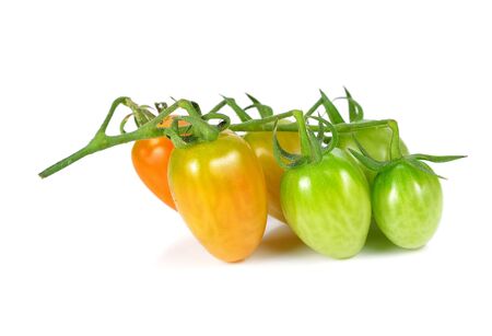cherry tomatoes isolated on white backgroundの写真素材
