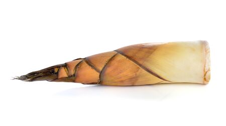 Bamboo shoot on white backgroundの写真素材