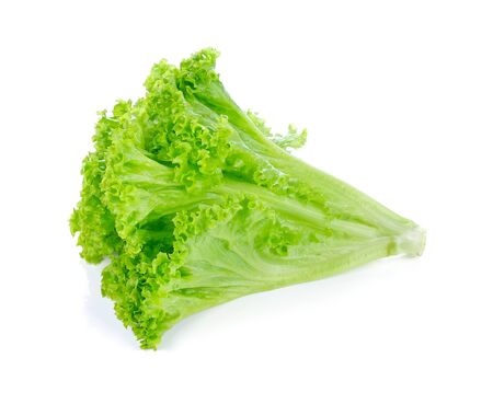 fresh green lettuce leaves isolated on whiteの写真素材