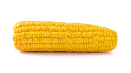 Corn isolated on a white backgroundの写真素材