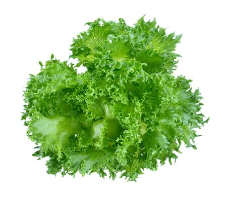 Green lettuce isolated on white background.の写真素材
