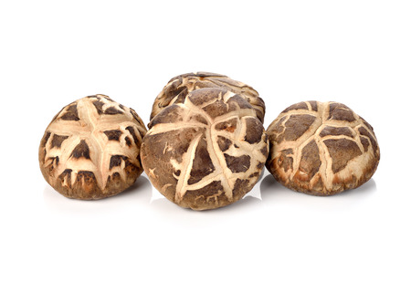 Dry Shiitake Mushroom isolated on whiteの写真素材