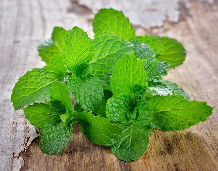 Fresh mint on wooden backgroundの写真素材
