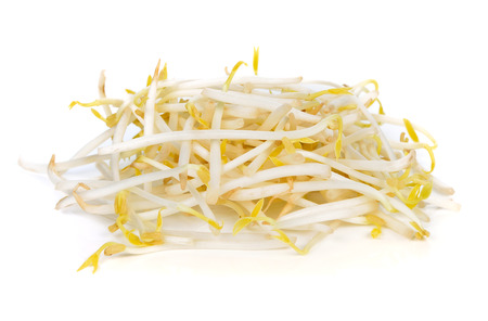 Bean sprouts on white backgroundの写真素材