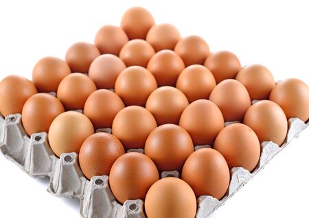 Eggs in paper tray on white background.の写真素材