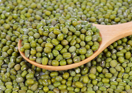 Mung beans in wooden spoon on mung beans background.の写真素材