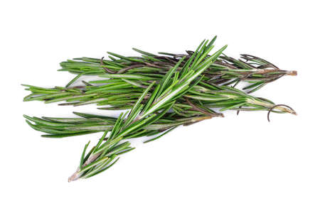 rosemary isolated on a white backgroundの写真素材