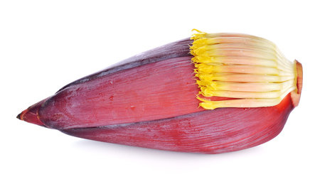 Banana blossom isolated on white backgroundの写真素材
