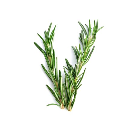 rosemary isolated on white backgroundの写真素材