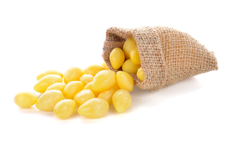 Ginkgo nuts on white backgroundの写真素材