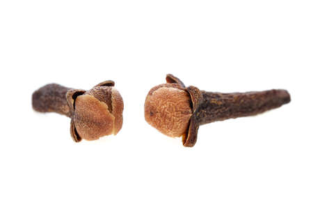 Spice cloves on white backgroundの写真素材