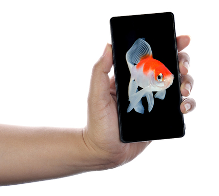 hand holding black phone isolated on whiteの写真素材