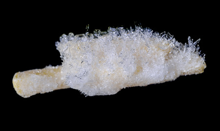 Frozen potatoes isolated on black.の写真素材