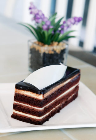 Delicious chocolate cake on plate