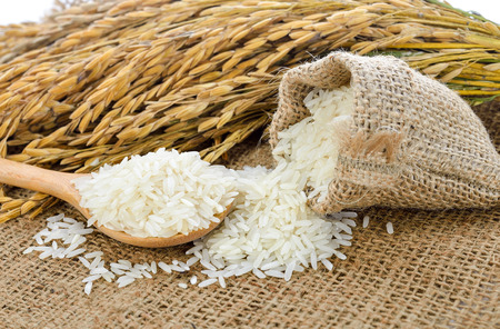 white rice (Thai Jasmine rice) and unmilled riceの写真素材