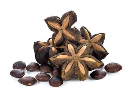 seed of sacha inchi,sacha mani or star inca peas on white backgroundの写真素材
