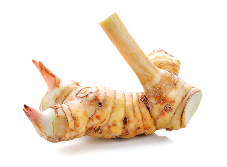 galangal isolated on white backgroundの写真素材