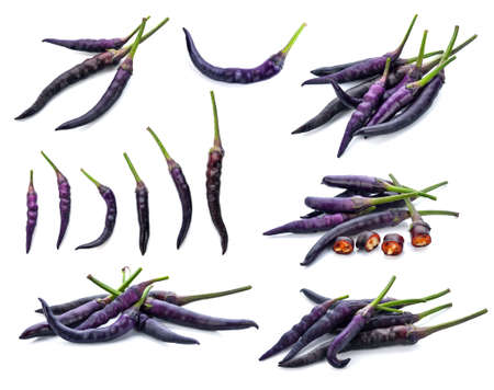 Purple chili on a white background.の写真素材
