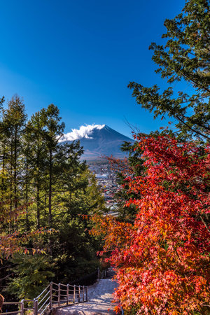 branch and Mount Fuji view from Red pagoda in japanの写真素材