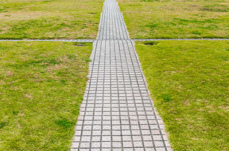 pathway stepped on the lawn in the parkの写真素材