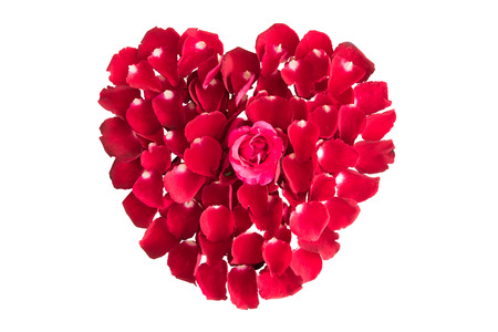 beautiful heart of red rose petals isolated on white backgronudの写真素材