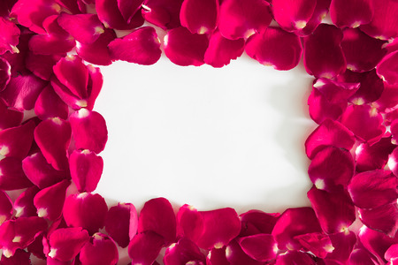 rose petals greetings background  with place for your  textの写真素材