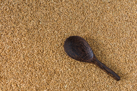 wooden ladles on paddy rice background, background of natureの写真素材
