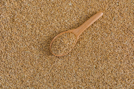 wooden ladles on paddy rice background, background of natureの写真素材