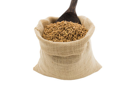 paddy rice in small burlap sack is isolated on white backgroundの写真素材