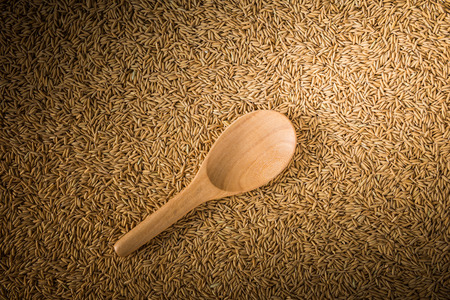 wooden ladles on paddy rice background, background of natureの写真素材