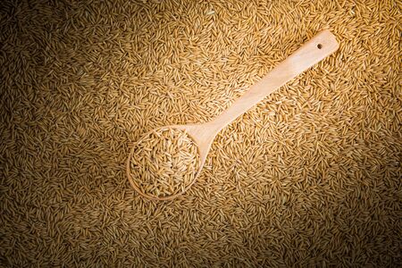 wooden ladles on paddy rice background, background of natureの写真素材