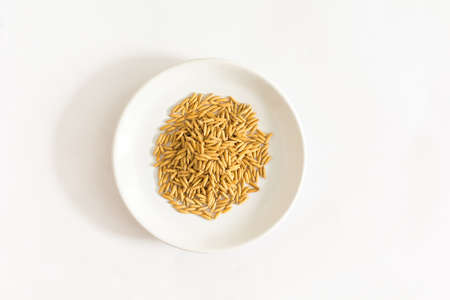 paddy rice in white plate is on white  backgroundの写真素材