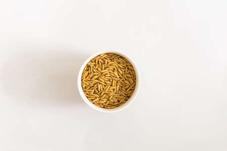 paddy rice in white plate is on white  backgroundの写真素材