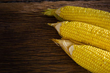 Fresh sweet corn on wooden tableの写真素材