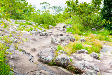 Lan Hin Pum  (natural phenomenon) at Phu Hin Rong Kla national park, Phetchabun Province, Thailandの写真素材