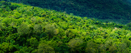 Lan Hin Pum  (natural phenomenon) at Phu Hin Rong Kla national park, Phitsanulok Province, Thailandの写真素材
