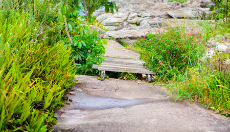Lan Hin Pum  (natural phenomenon) at Phu Hin Rong Kla national park, Phetchabun Province, Thailandの写真素材