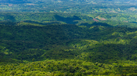 Phu Hin Rong Kla National Park, Phitsanulok Province, Thailandの写真素材