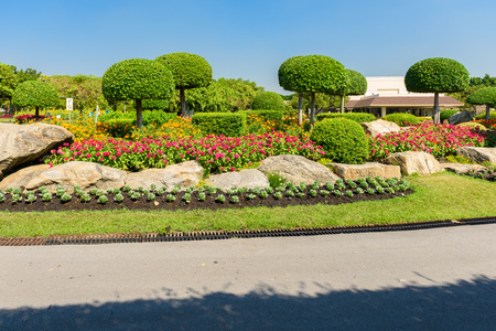 Gardening and Landscaping With Decorative Trees and Plantsの写真素材