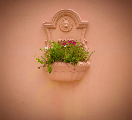 Arts stucco is on the wall. The potted plantsの写真素材