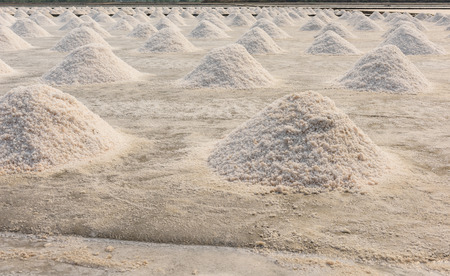 salt farming at Samutsongkhram, Thailand.の写真素材