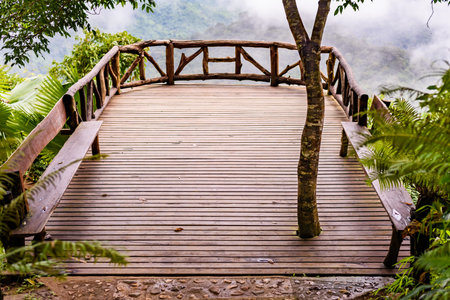 Mountain with tree bridge view point kooddoi hill at national park, thongphaphum national park,...