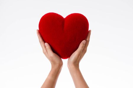 Heart in the hands isolated on white backgroundの写真素材