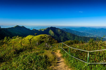 walkway to the viewpoint of Doi Pha Tang ,Chiang Rai province in Thailand.  beautiful location and...